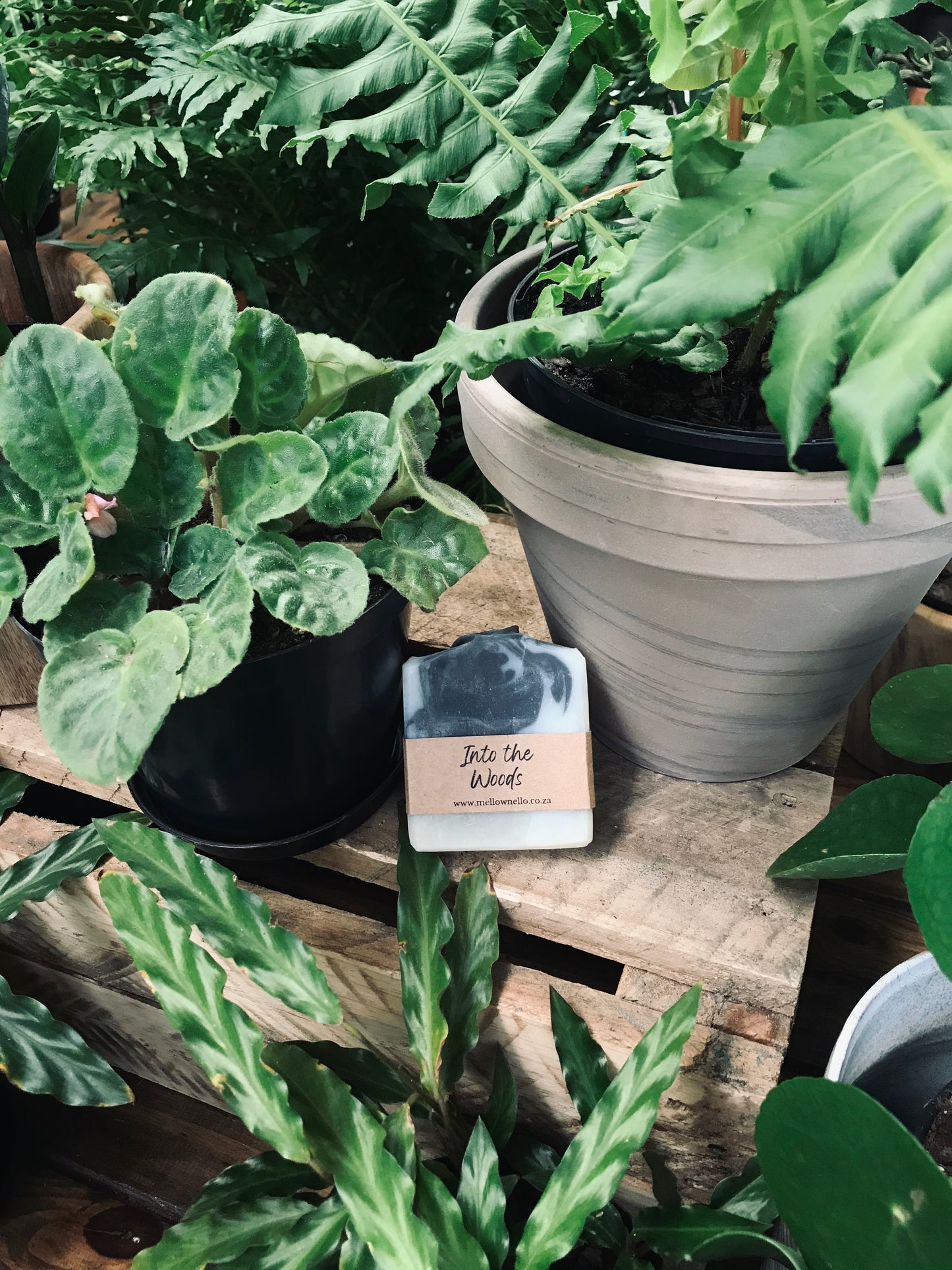 Into the Woods ~ Natural Soap Bar